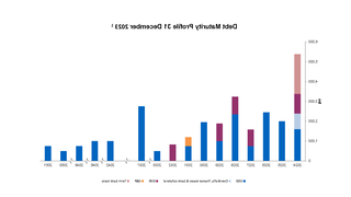 Graph of debt maturity profile